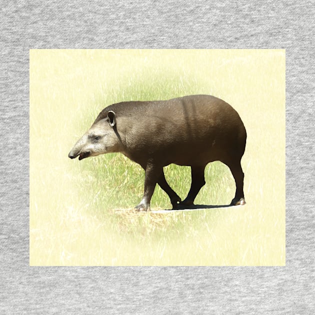 Tapir by Guardi